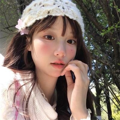 布公仔之金银岛